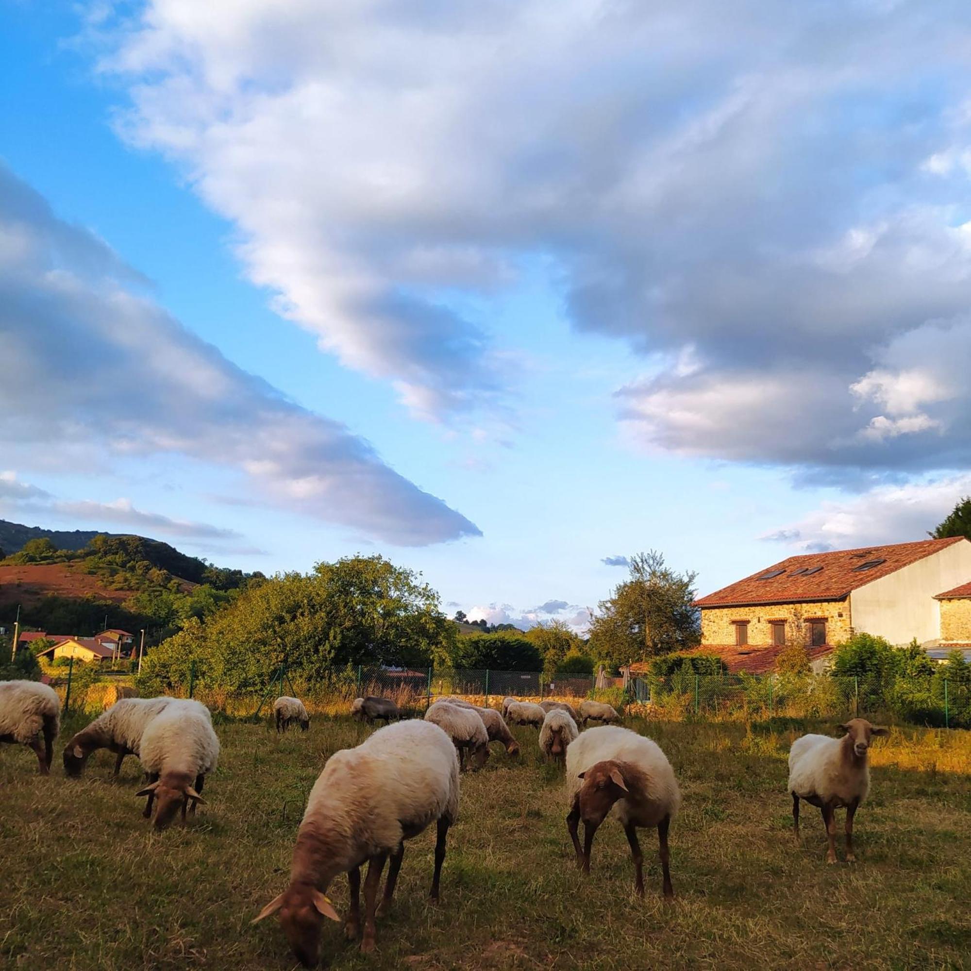 Posada La Corralada Pámanes 외부 사진